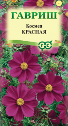 Космея Красная (Гавриш) - Сезон у Дачи