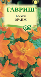 Космея Оранж (Гавриш) - Сезон у Дачи