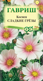 Космея Сладкие грезы (Гавриш) - Сезон у Дачи