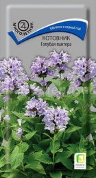 Котовник Голубая пантера 10шт (ПОИСК) - Сезон у Дачи