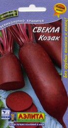 Свекла Козак (Аэлита) - Сезон у Дачи