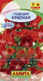 Годеция Красная (Аэлита) - Сезон у Дачи