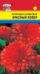 Календула Красный ковер махровая - Сезон у Дачи