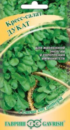 Кресс-салат Дукат (Гавриш) - Сезон у Дачи