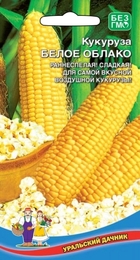 Кукуруза Белое облако (УД) - Сезон у Дачи