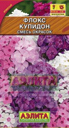 Флокс Купидон смесь метельчатый - Сезон у Дачи