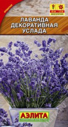 Лаванда Услада (Аэлита) - Сезон у Дачи