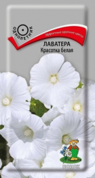 Лаватера Красотка белая (Поиск) - Сезон у Дачи