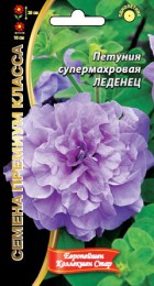 Петуния Леденец - Сезон у Дачи