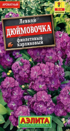 Левкой карликовый Дюймовочка фиолетовый (Аэлита) - Сезон у Дачи