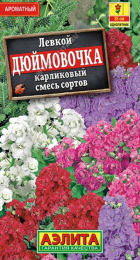 Левкой карликовый Дюймовочка смесь (Аэлита) - Сезон у Дачи