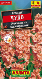 Левкой Высокорослый Чудо абрикосовый (Аэлита) - Сезон у Дачи