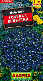 Лобелия Голубая вспышка (Аэлита) - Сезон у Дачи