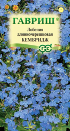 Лобелия Кембридж* (Гавриш) - Сезон у Дачи