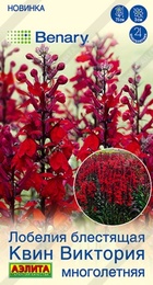Лобелия Квин Виктория многолетняя (Аэлита) - Сезон у Дачи