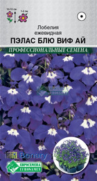 Лобелия Пэлас Блю Виф Ай ежевидная (Евросемена) - Сезон у Дачи