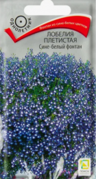 Лобелия Сине-белый фонтан плетистая (Поиск) - Сезон у Дачи