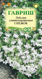 Лобелия Снежок (Гавриш) - Сезон у Дачи
