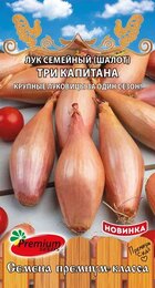 Лук шалот Три капитана (Премиум Сидс) - Сезон у Дачи