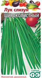 Лук слизун Широколистный (Гавриш) - Сезон у Дачи