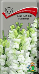 Львиный зев Белый букет (Поиск) - Сезон у Дачи