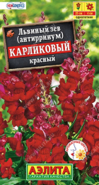 Львиный зев карликовый красный (Аэлита) - Сезон у Дачи