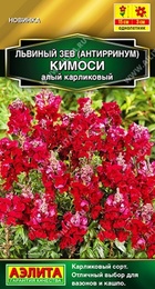 Львиный зев Кимоси Алый карликовый (Аэлита) - Сезон у Дачи