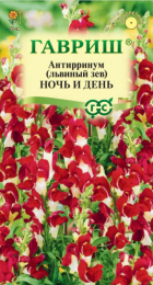 Львиный зев Ночь и день (Гавриш) - Сезон у Дачи