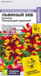 Львиный зев Снэппи Пылающий красный (Сем Алт) - Сезон у Дачи