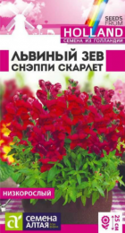 Львиный зев Снэппи Скарлет (СемАлт) - Сезон у Дачи