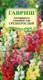 Львиный зев Среднерослый смесь (Гавриш) - Сезон у Дачи