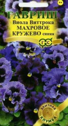Виола Виттрока Махровое кружево синяя - Сезон у Дачи