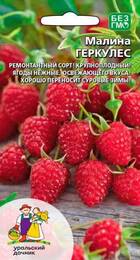 Малина Геркулес (УД) - Сезон у Дачи