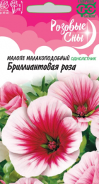 Малопа Бриллиантовая роза (Гавриш) - Сезон у Дачи