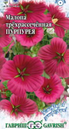 Малопа Пурпурея (Гавриш) - Сезон у Дачи
