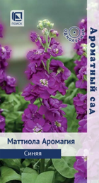 Маттиола Аромагия синяя /Ароматный сад (Поиск) - Сезон у Дачи