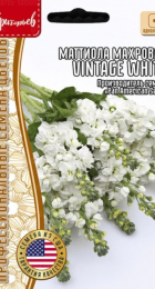 Маттиола Vintage White махровая (Григорьев) - Сезон у Дачи