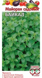 Майоран Байкал (Гавриш) - Сезон у Дачи