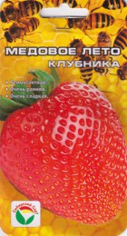 Земляника /Клубника Медовое лето (Сиб Сад) - Сезон у Дачи