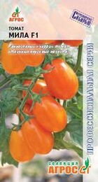 Томат Мила F1 (Агрос) - Сезон у Дачи