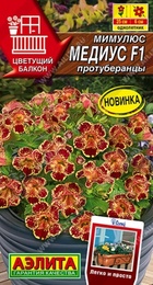 Мимулюс Медиус F1 Протуберанцы (Аэлита) - Сезон у Дачи