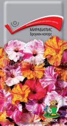 Мирабилис Броукен колорс - Сезон у Дачи