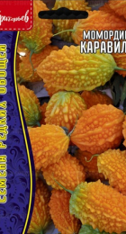 Момордика Каравила (Григорьев) - Сезон у Дачи