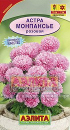 Астра Монпансье розовая - Сезон у Дачи