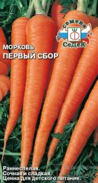 Морковь Первый Сбор (СеДек) - Сезон у Дачи