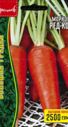 Морковь Ред Кор (Григорьев) - Сезон у Дачи