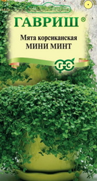 Мята Мини минт корсиканская (Гавриш) - Сезон у Дачи