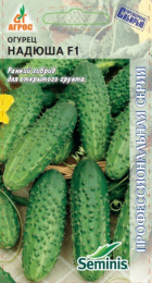 Огурец Надюша F1 - Сезон у Дачи