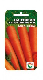 Морковь Нантская улучшенная (СибСад) - Сезон у Дачи