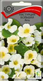 Настурция большая Йети (Поиск) - Сезон у Дачи
